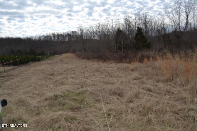 129 Rushing Springs Road Monterey, TN 38574 - Photo 42 of 60 DSC_0065