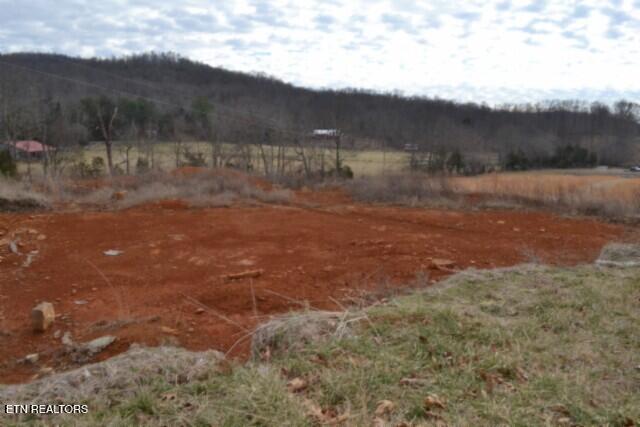 129 Rushing Springs Road Monterey, TN 38574 - Photo 52 of 60 DSC_0075