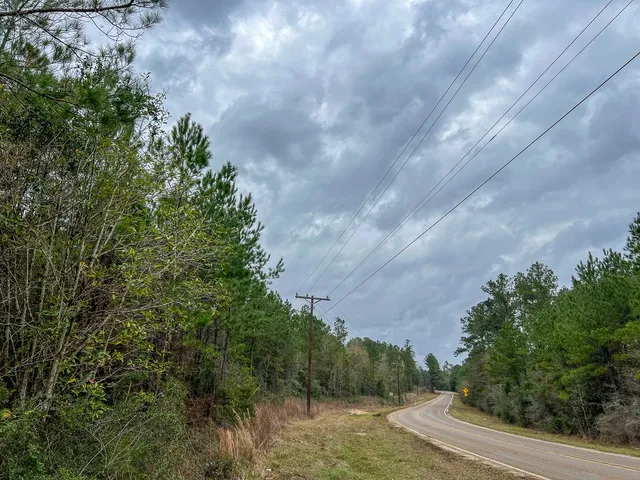 a view of a forest with trees in front of the house