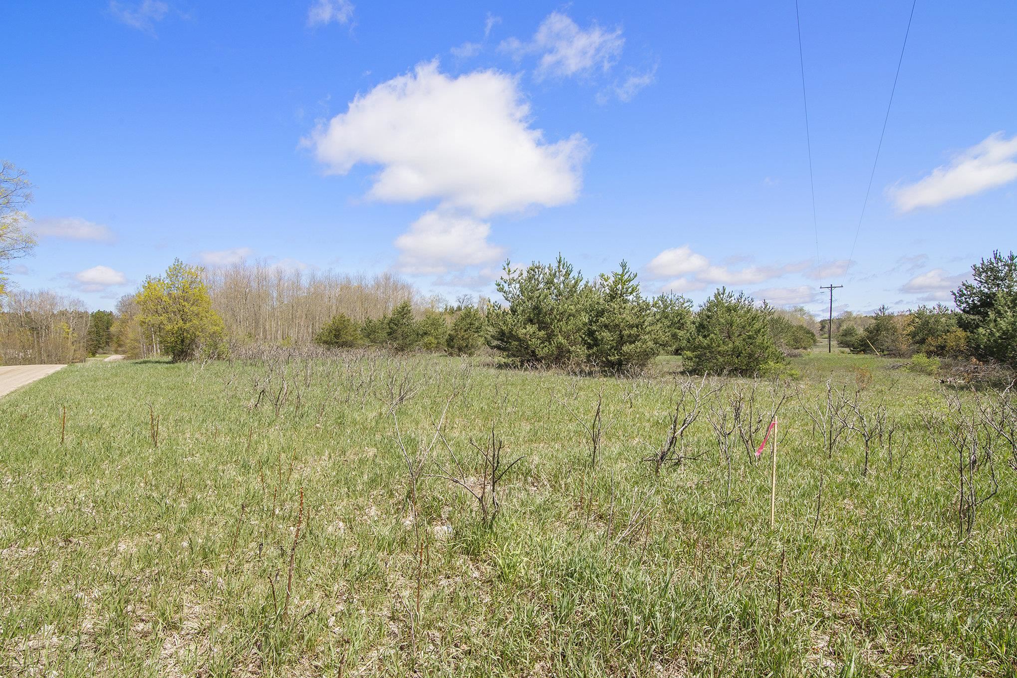 2 North 9th Road Mesick, MI 49668 - Photo 6 of 9