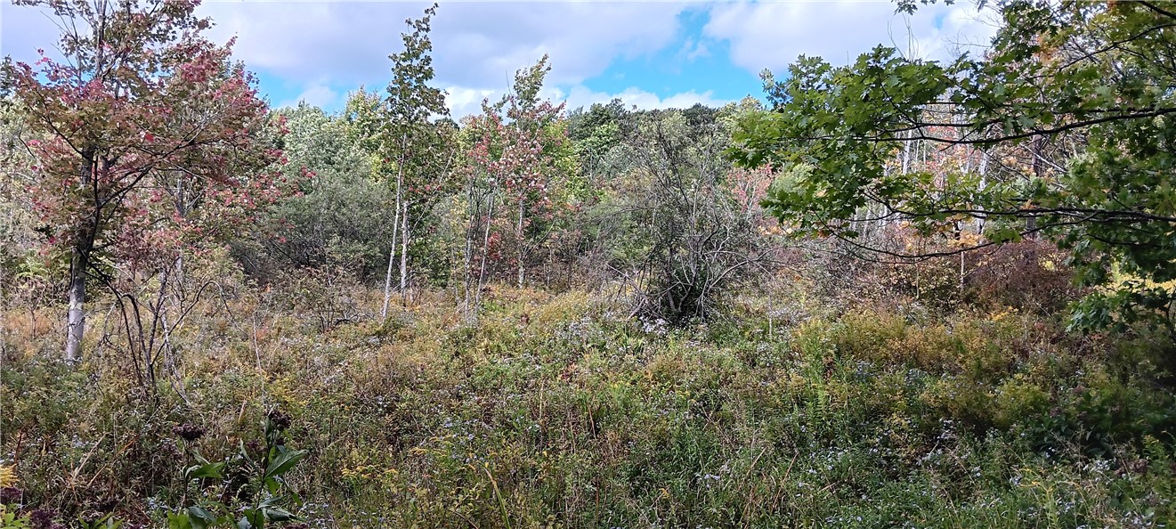 620 East Conesville Road Conesville, NY 12076 - Photo 34 of 40