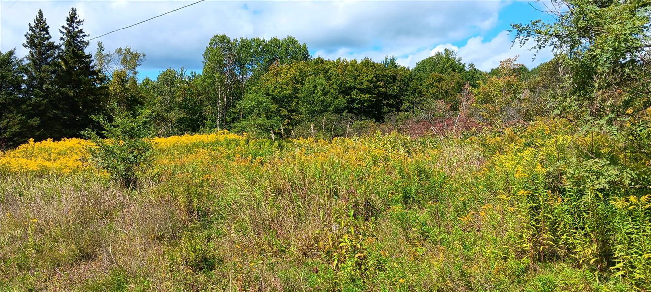 620 East Conesville Road Conesville, NY 12076 - Photo 38 of 40
