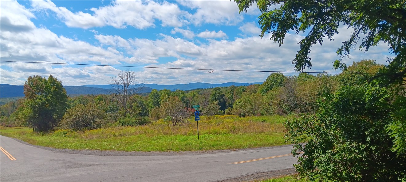 620 East Conesville Road Conesville, NY 12076 - Photo 8 of 40