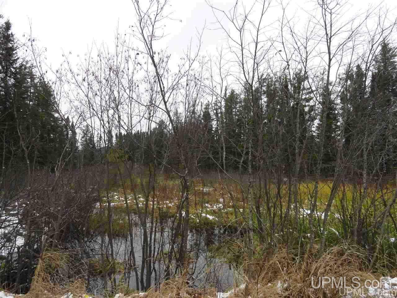 80-acres 80-acres Co Road Negaunee, MI 49866 - Photo 19 of 45