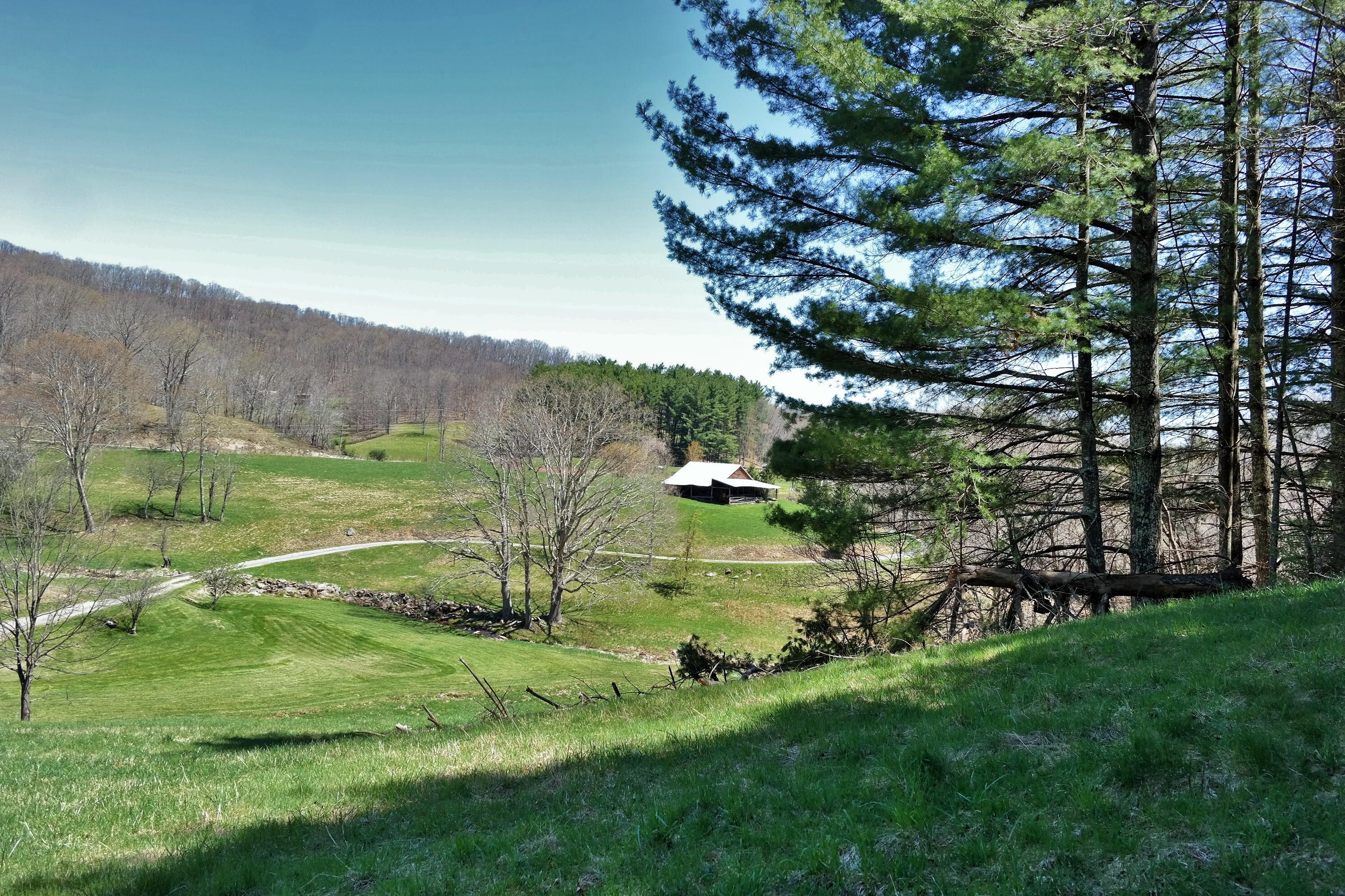 3678 Snake Run Road Alderson, WV 24910 - Photo 49 of 124 Gallery Image 49