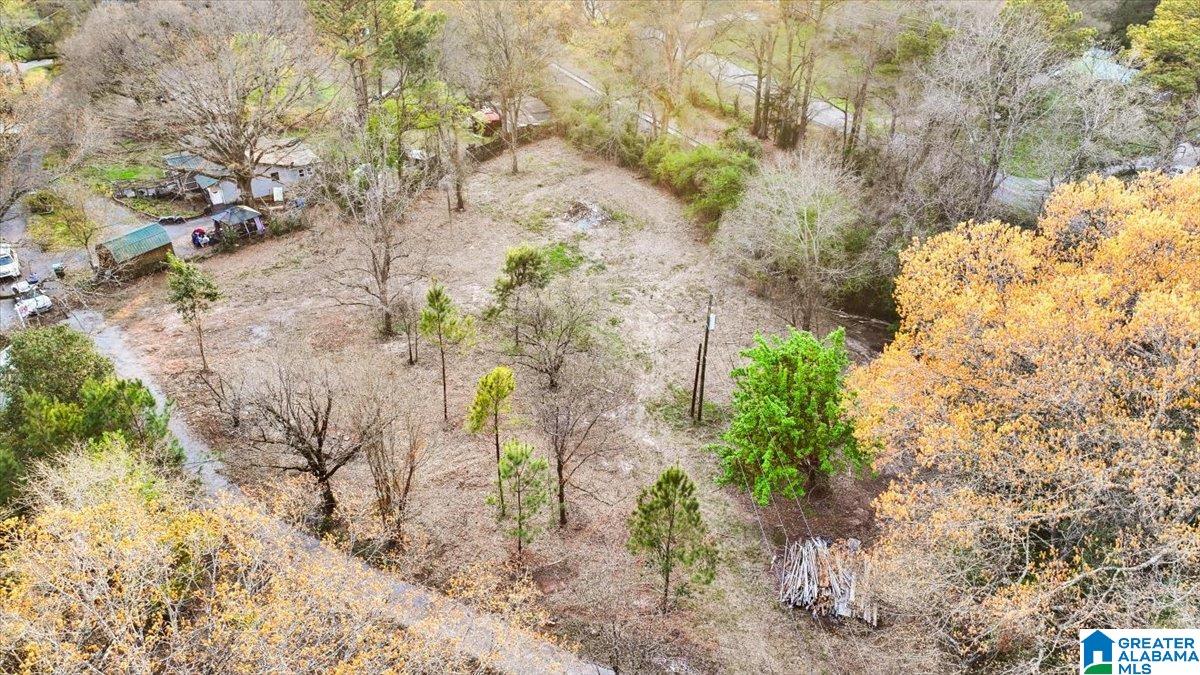 248 Jones Road, Unit 1 Montevallo, AL 35115 - Photo 4 of 6