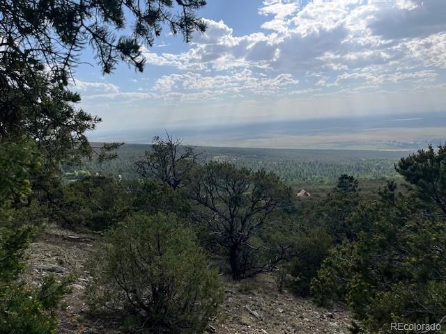 314 Arrastre Road Mosca, CO 81146 - Photo 1 of 16 a view of a city with lots of trees