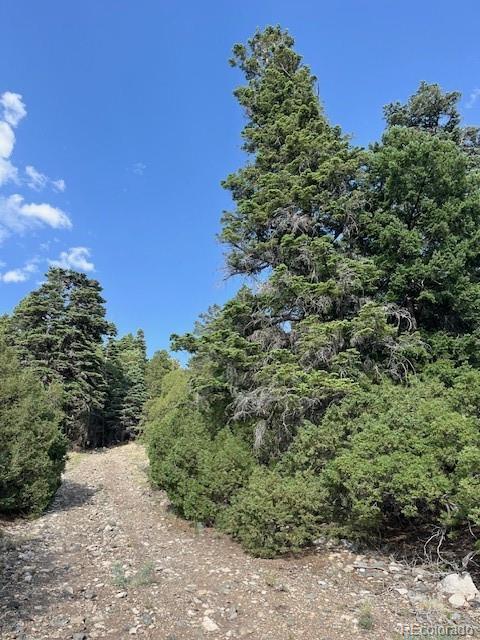314 Arrastre Road Mosca, CO 81146 - Photo 14 of 16 a view of a large yard with lots of green space