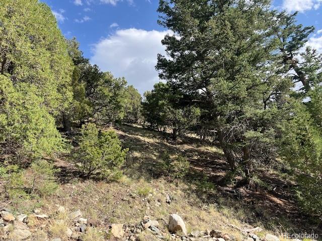 314 Arrastre Road Mosca, CO 81146 - Photo 15 of 16 a view of a tree
