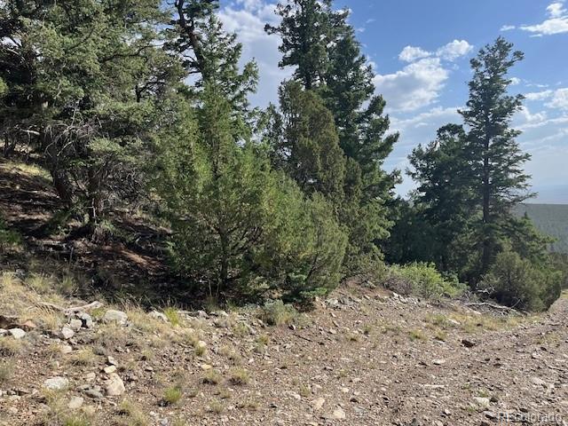 314 Arrastre Road Mosca, CO 81146 - Photo 16 of 16 a view of a yard with a tree