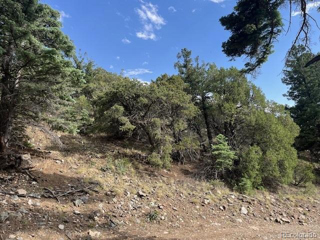 314 Arrastre Road Mosca, CO 81146 - Photo 2 of 16 a view of a dry yard with lots of trees