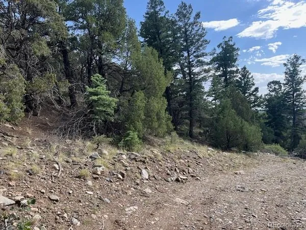 a view of a dry yard with trees in the background