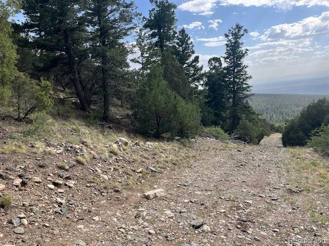 314 Arrastre Road Mosca, CO 81146 - Photo 4 of 16 a view of a yard