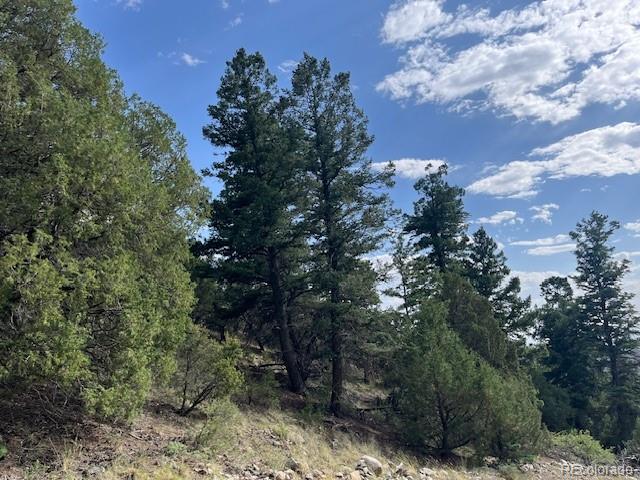 314 Arrastre Road Mosca, CO 81146 - Photo 5 of 16 a view of a tree in a yard