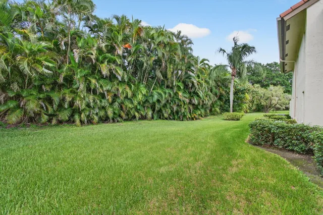 a view of a yard with a tree
