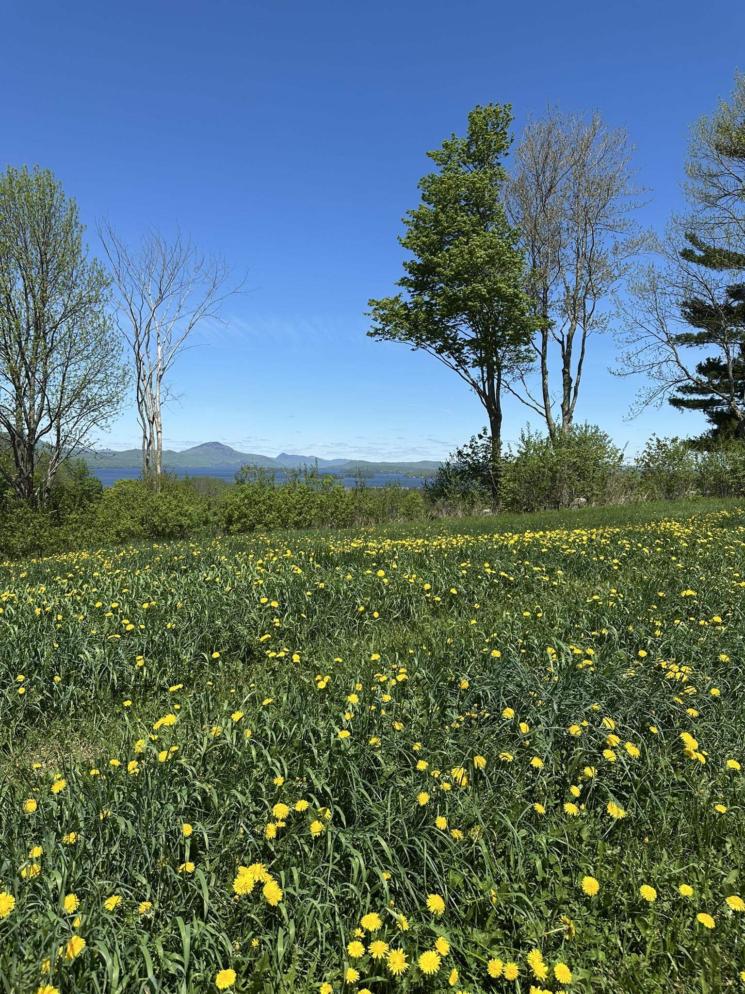 0 Shattuck Hill Road Newport, VT 05855 - Photo 2 of 34