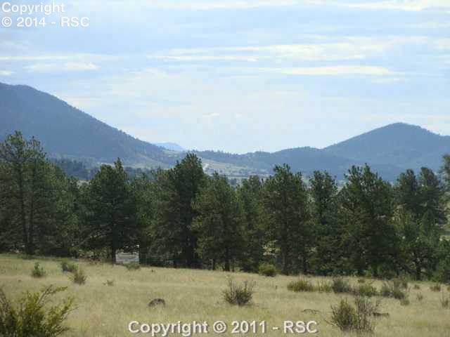 7512 Jefferson Road Lake George, CO 80827 - Photo 13 of 13