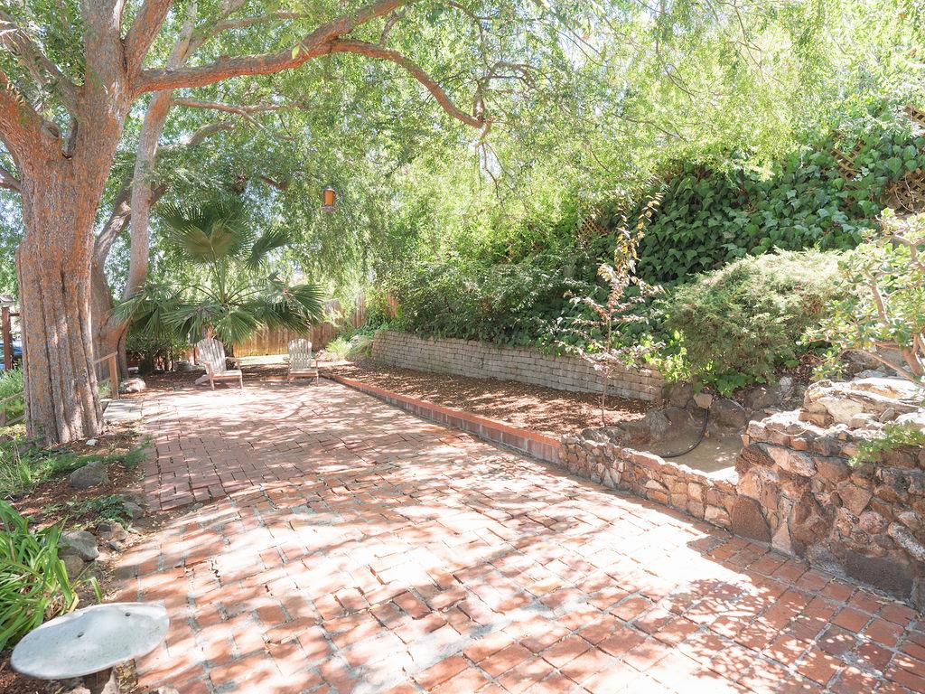 264 Upland Road Redwood City, CA 94062 - Photo 22 of 31 a view of a yard with plants and trees