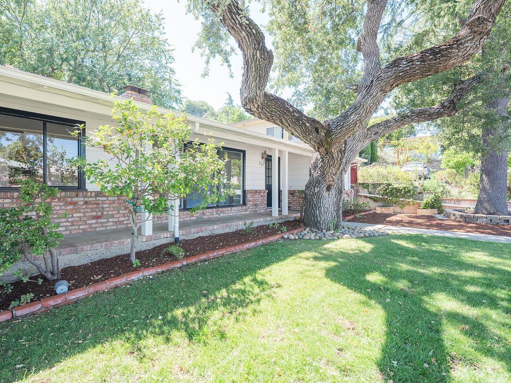 264 Upland Road Redwood City, CA 94062 - Photo 25 of 31 a view of a yard with a house and a large tree
