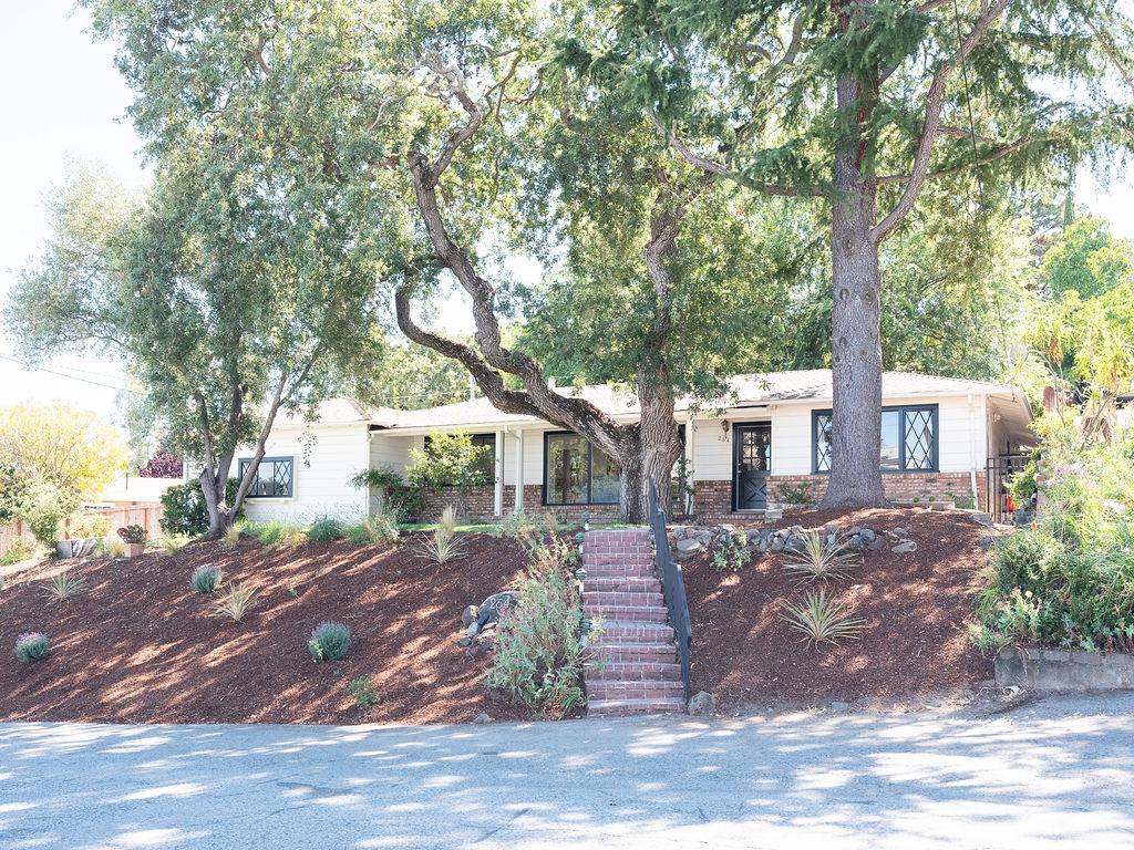 264 Upland Road Redwood City, CA 94062 - Photo 28 of 31 a view of a backyard with large trees and plants