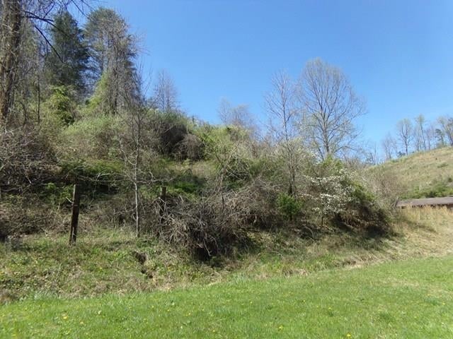 154 Red Barn Road Genoa, WV 25517 - Photo 20 of 25 Gallery Image 20
