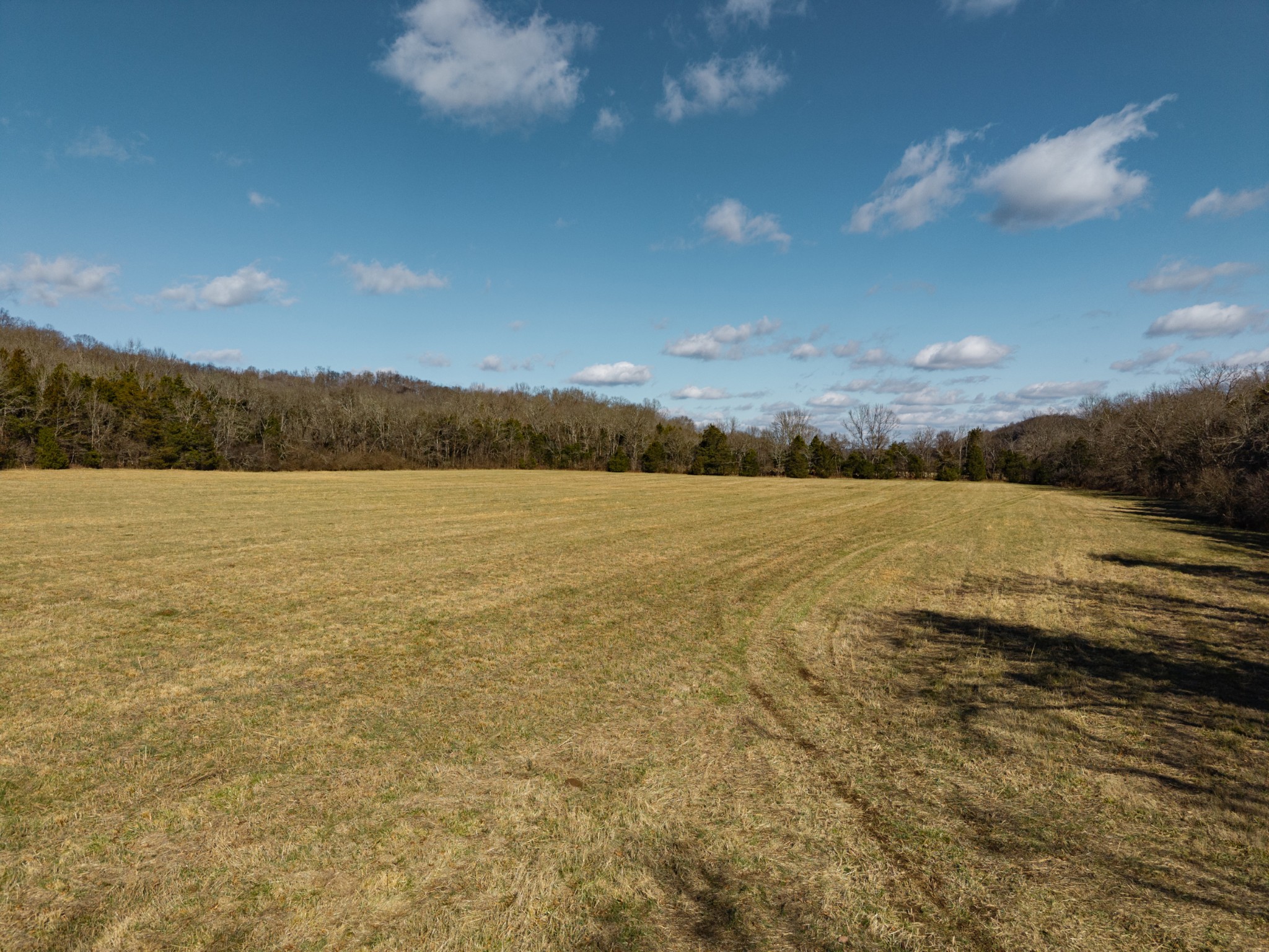 111 Cheatham Road Ardmore, TN 38449 - Photo 11 of 16 a view of lake