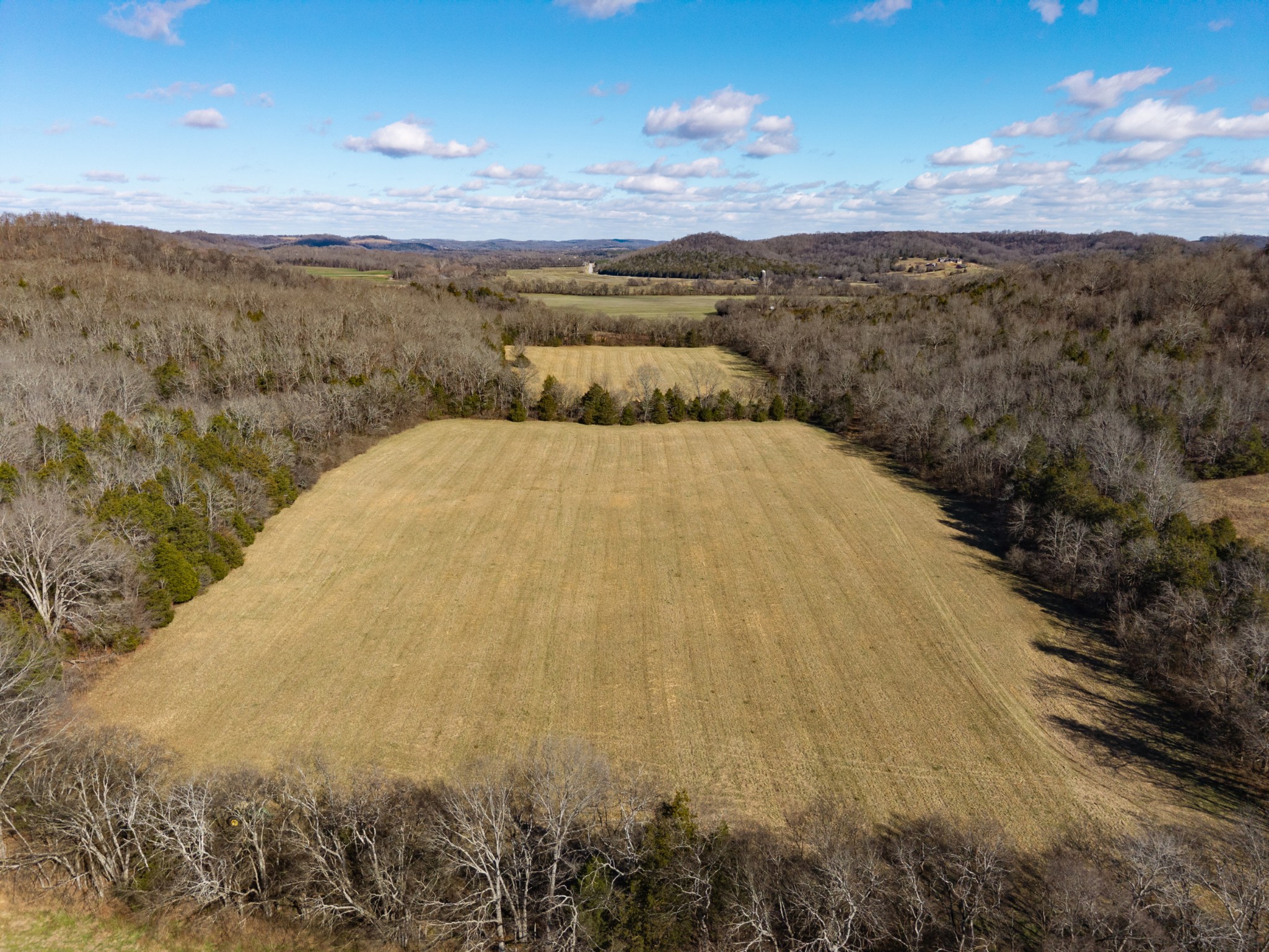 111 Cheatham Road Ardmore, TN 38449 - Photo 13 of 16 a view of a lake in middle of a forest