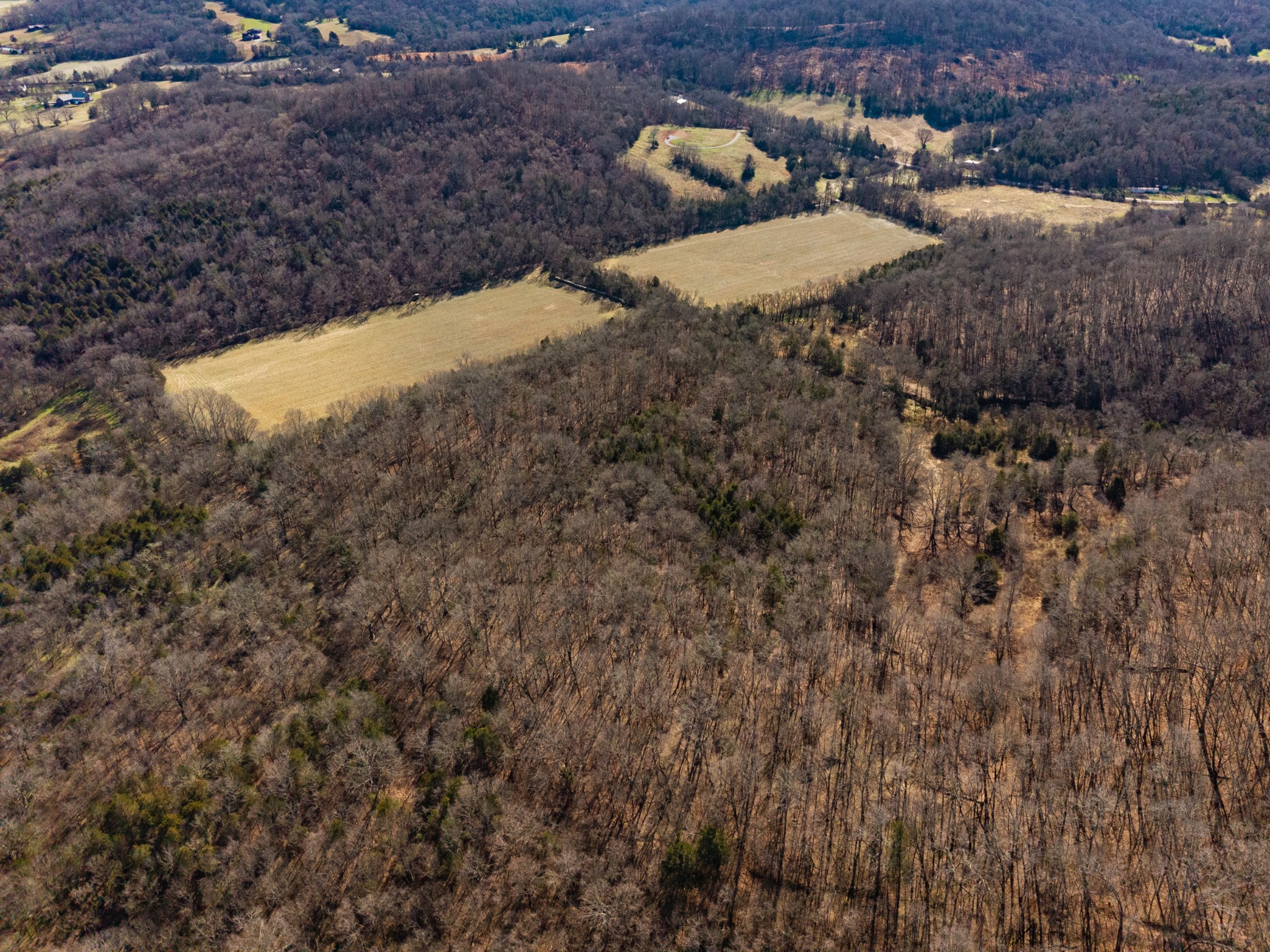 111 Cheatham Road Ardmore, TN 38449 - Photo 3 of 16 a view of a dry yard with wooden fence