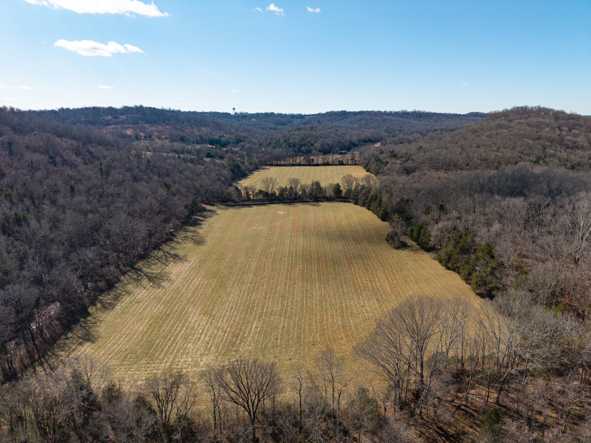 111 Cheatham Road Ardmore, TN 38449 - Photo 4 of 16 a view of mountains in the distance
