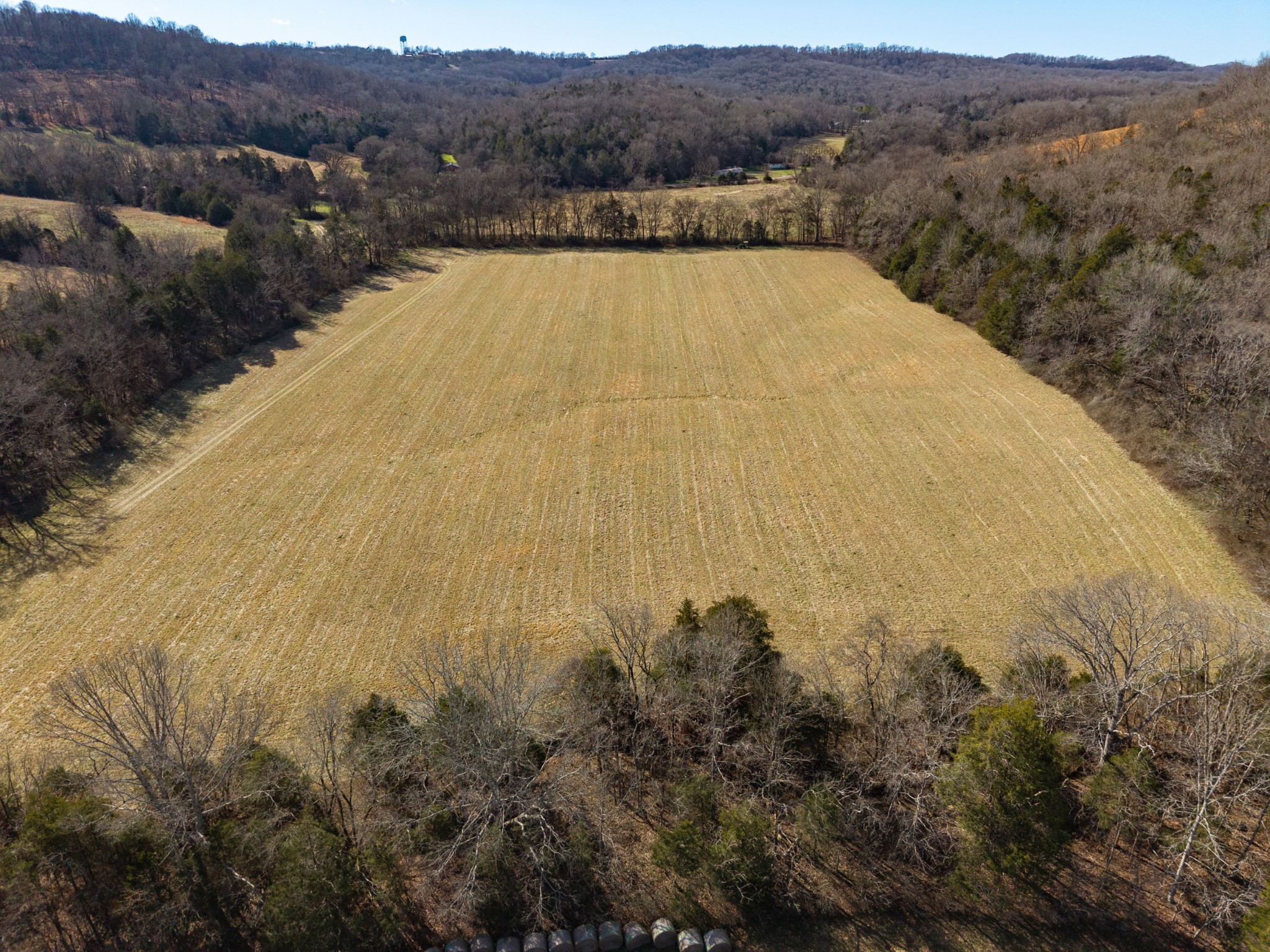 111 Cheatham Road Ardmore, TN 38449 - Photo 5 of 16 a view of lake
