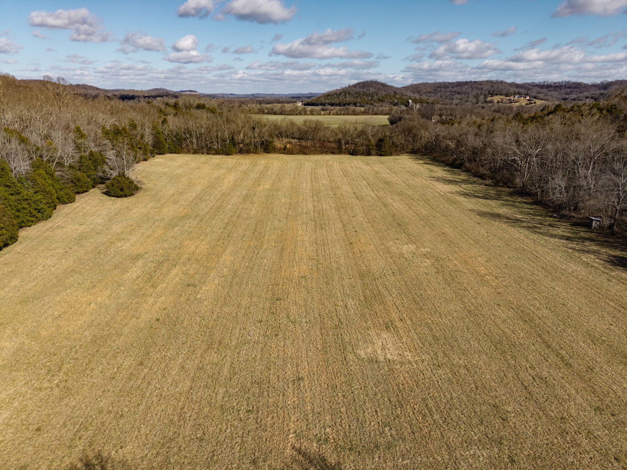 111 Cheatham Road Ardmore, TN 38449 - Photo 6 of 16