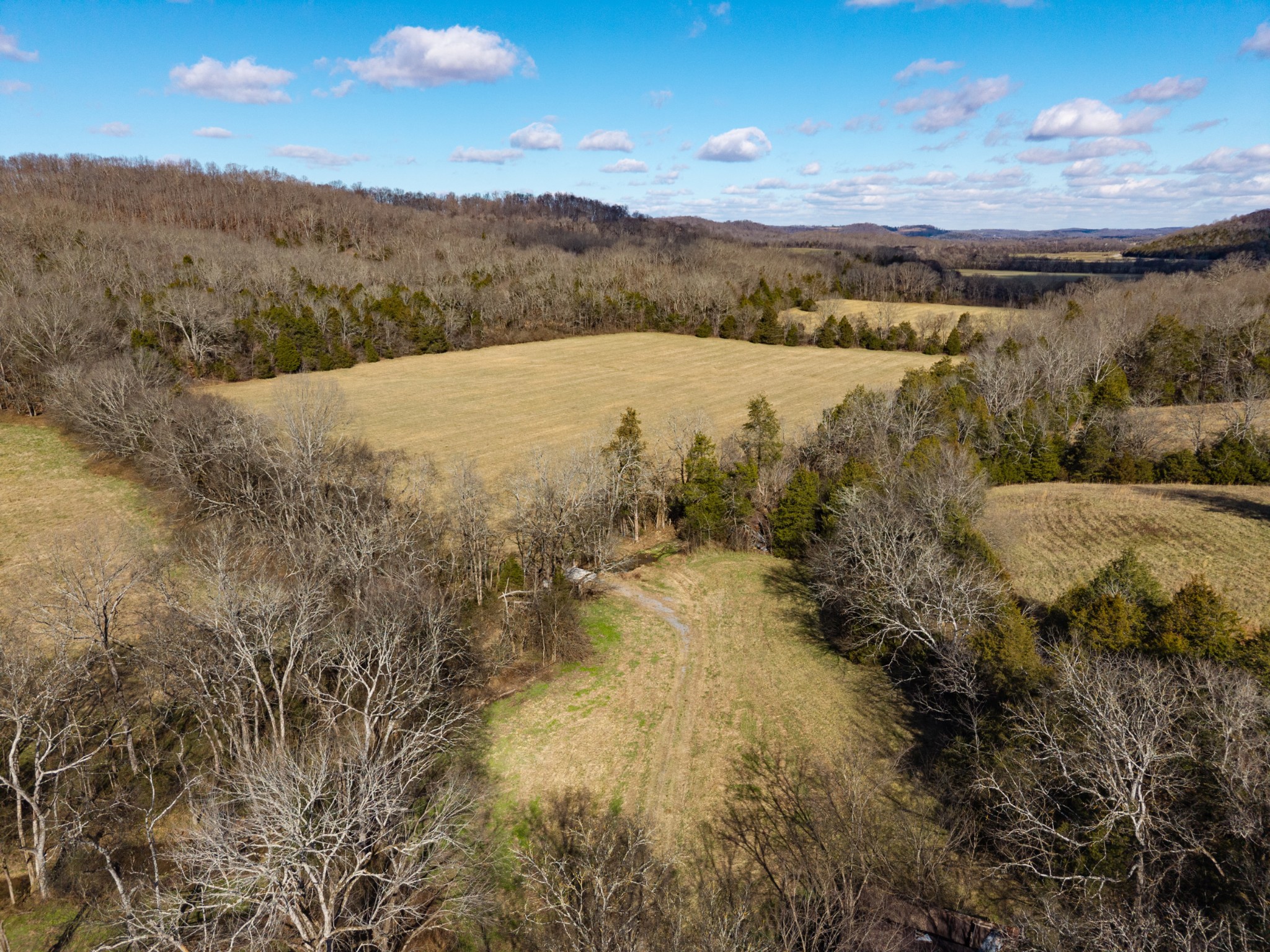 111 Cheatham Road Ardmore, TN 38449 - Photo 7 of 16 a view of mountain with lake view