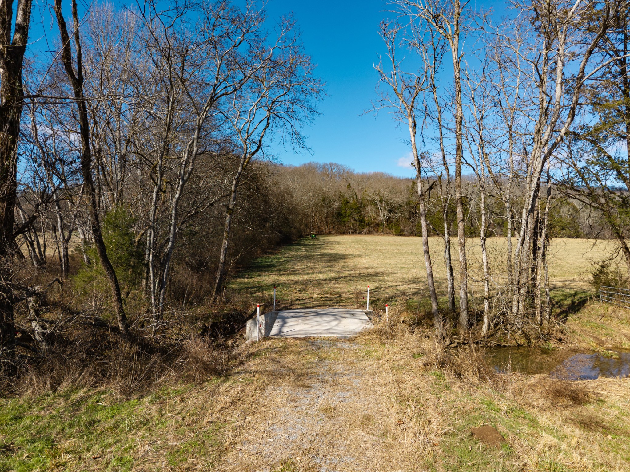 111 Cheatham Road Ardmore, TN 38449 - Photo 8 of 16 a view of a yard with trees