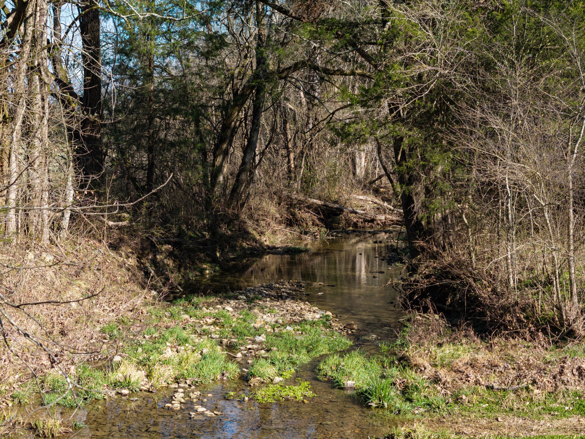 111 Cheatham Road Ardmore, TN 38449 - Photo 9 of 16 a backyard of a house with lots of green space