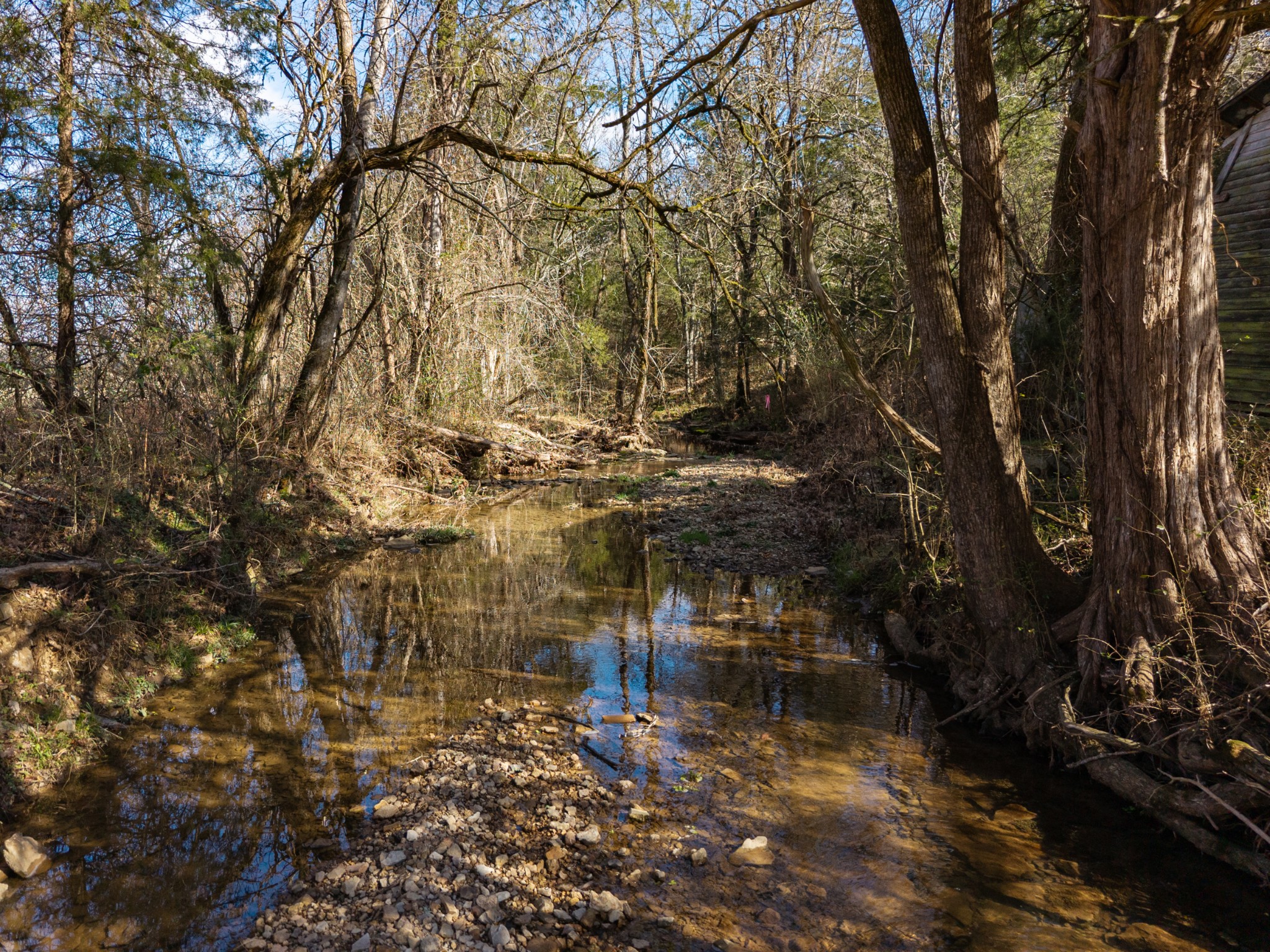 111 Cheatham Road Ardmore, TN 38449 - Photo 10 of 16