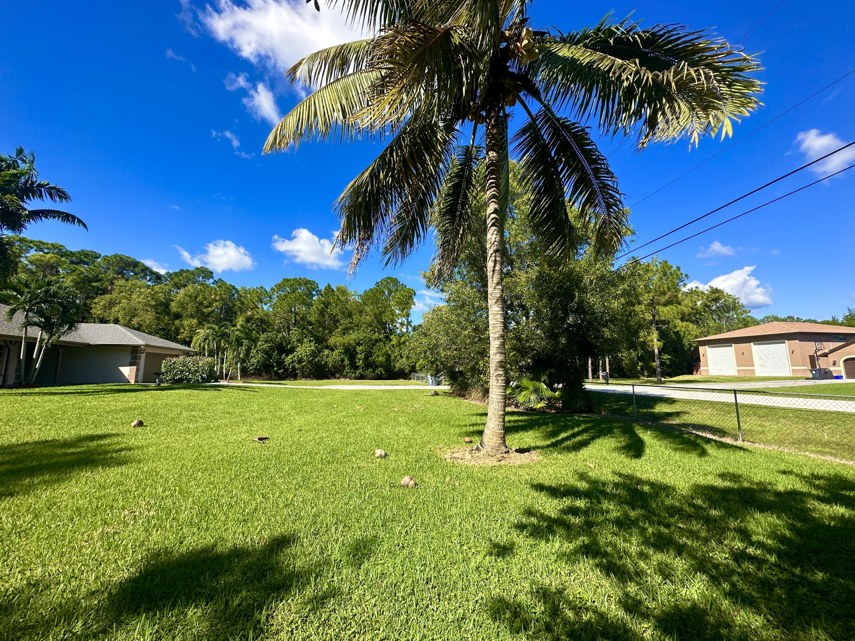 13338 76th Road North West Palm Beach, FL 33412 - Photo 124 of 138 a view of a yard with a palm tree