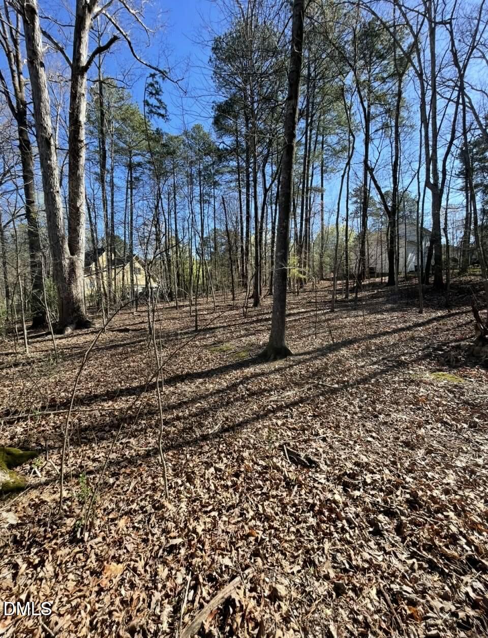 4822 Bay Point Drive Durham, NC 27713 - Photo 3 of 3 02