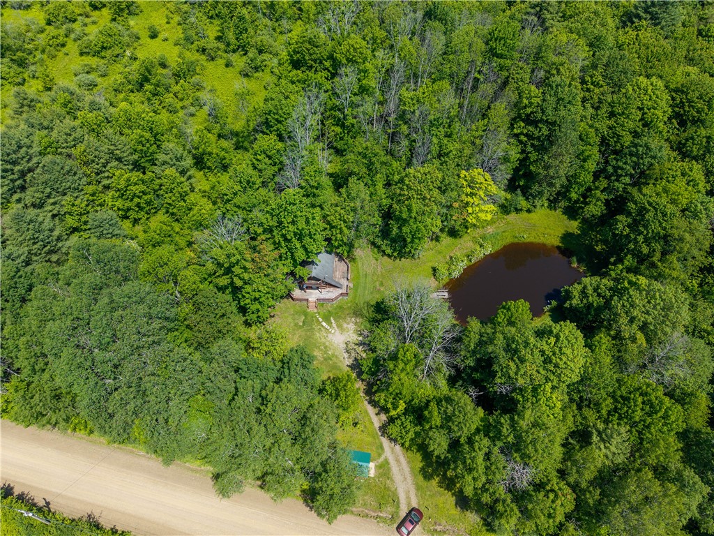 0 Schneider Road Fillmore, NY 14735 - Photo 45 of 50