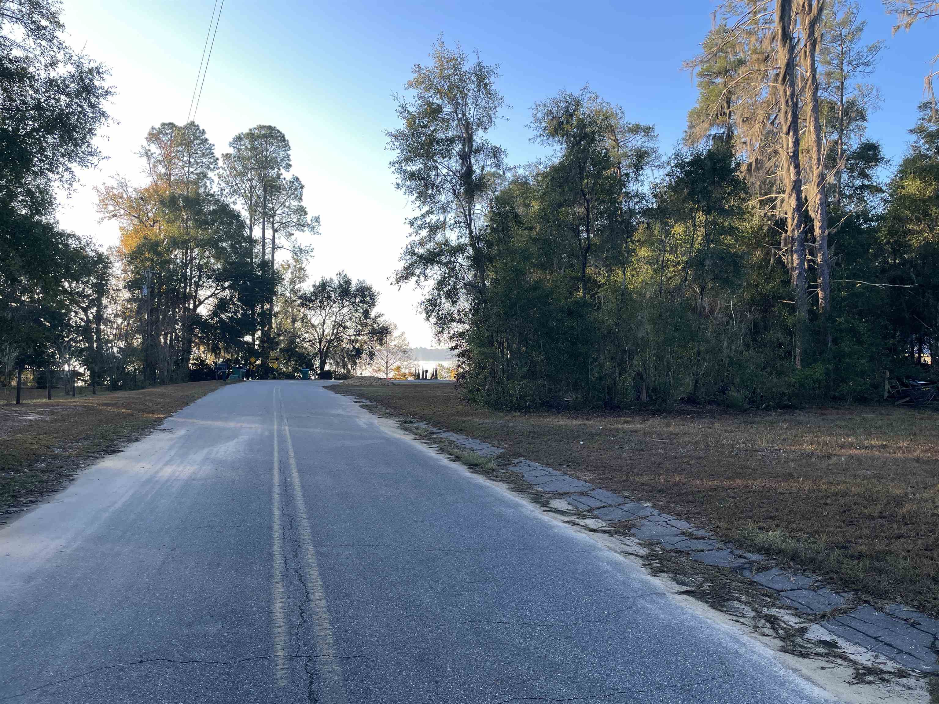 890 Drake Acres Road Quincy, FL 32351 - Photo 11 of 20