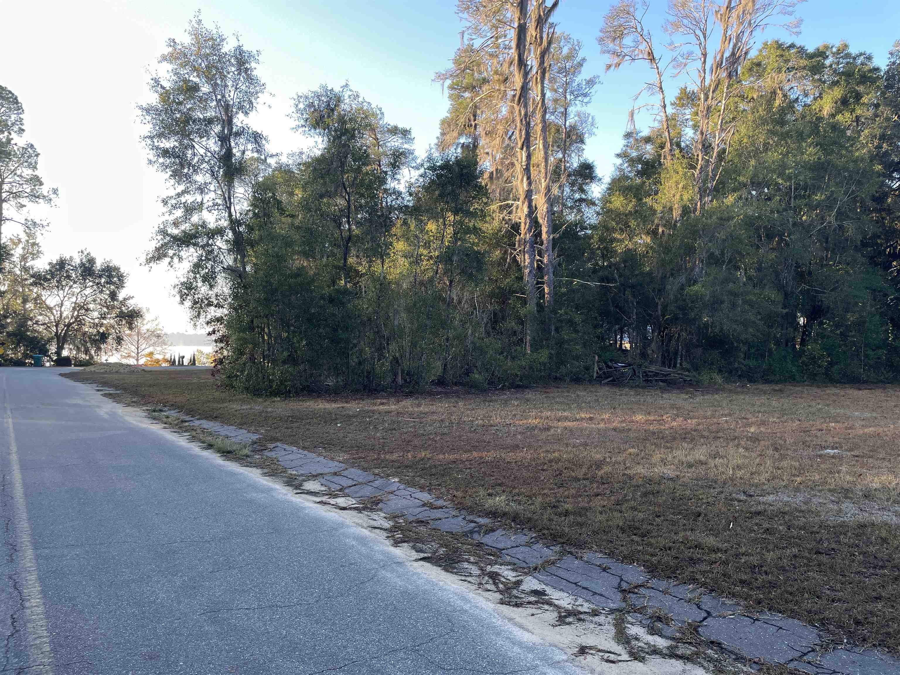 890 Drake Acres Road Quincy, FL 32351 - Photo 12 of 20