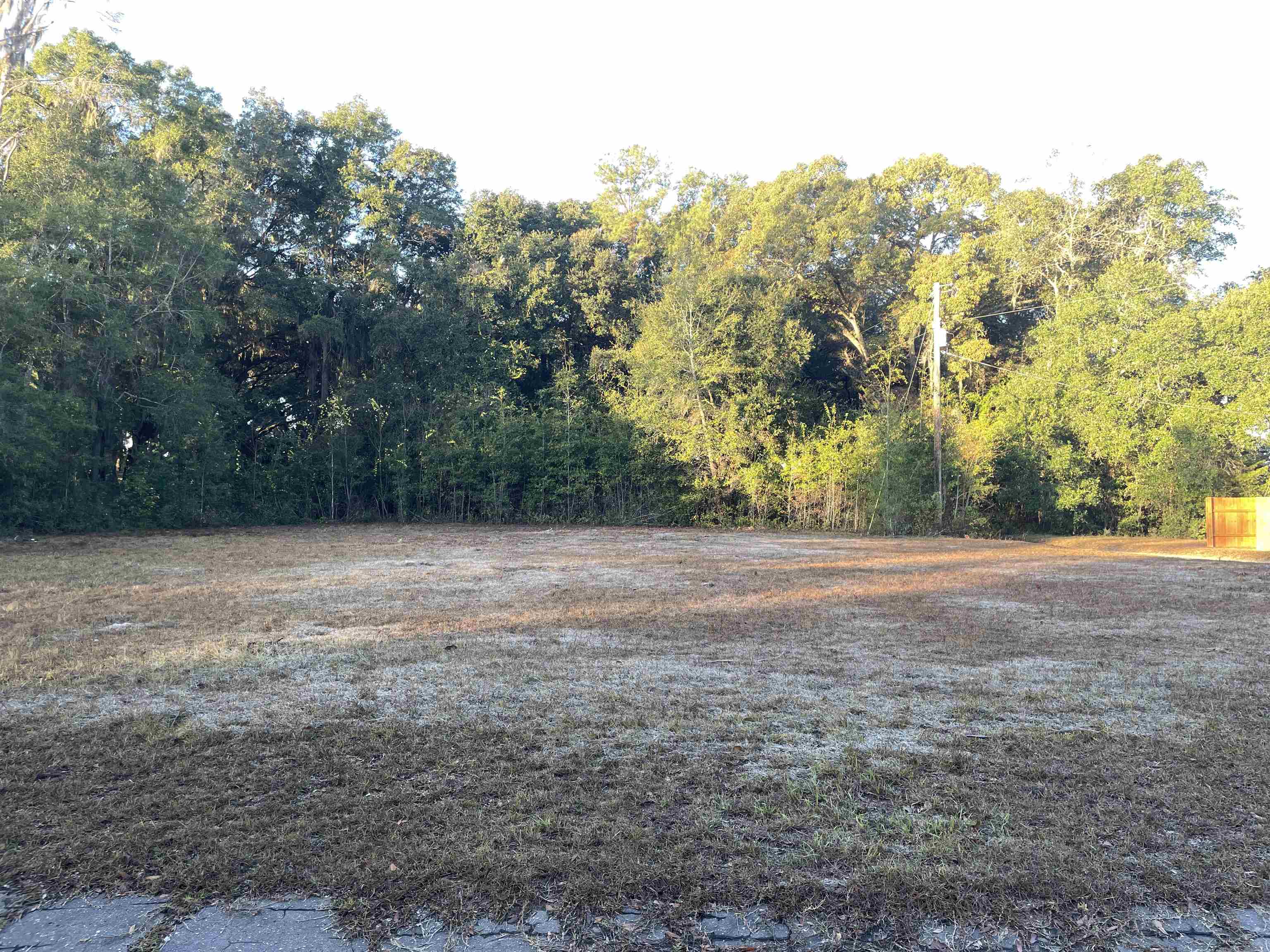 890 Drake Acres Road Quincy, FL 32351 - Photo 15 of 20