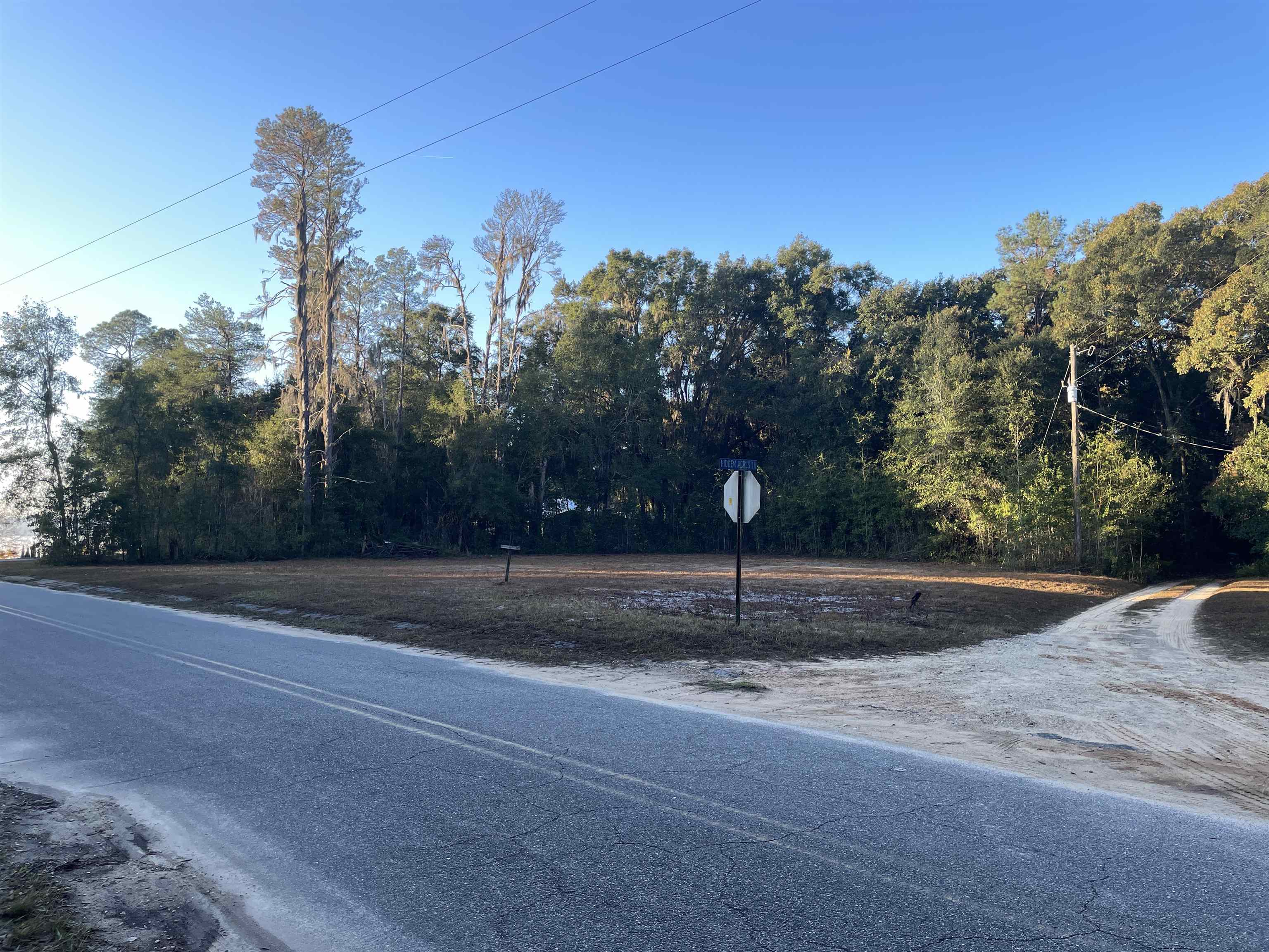 890 Drake Acres Road Quincy, FL 32351 - Photo 2 of 20