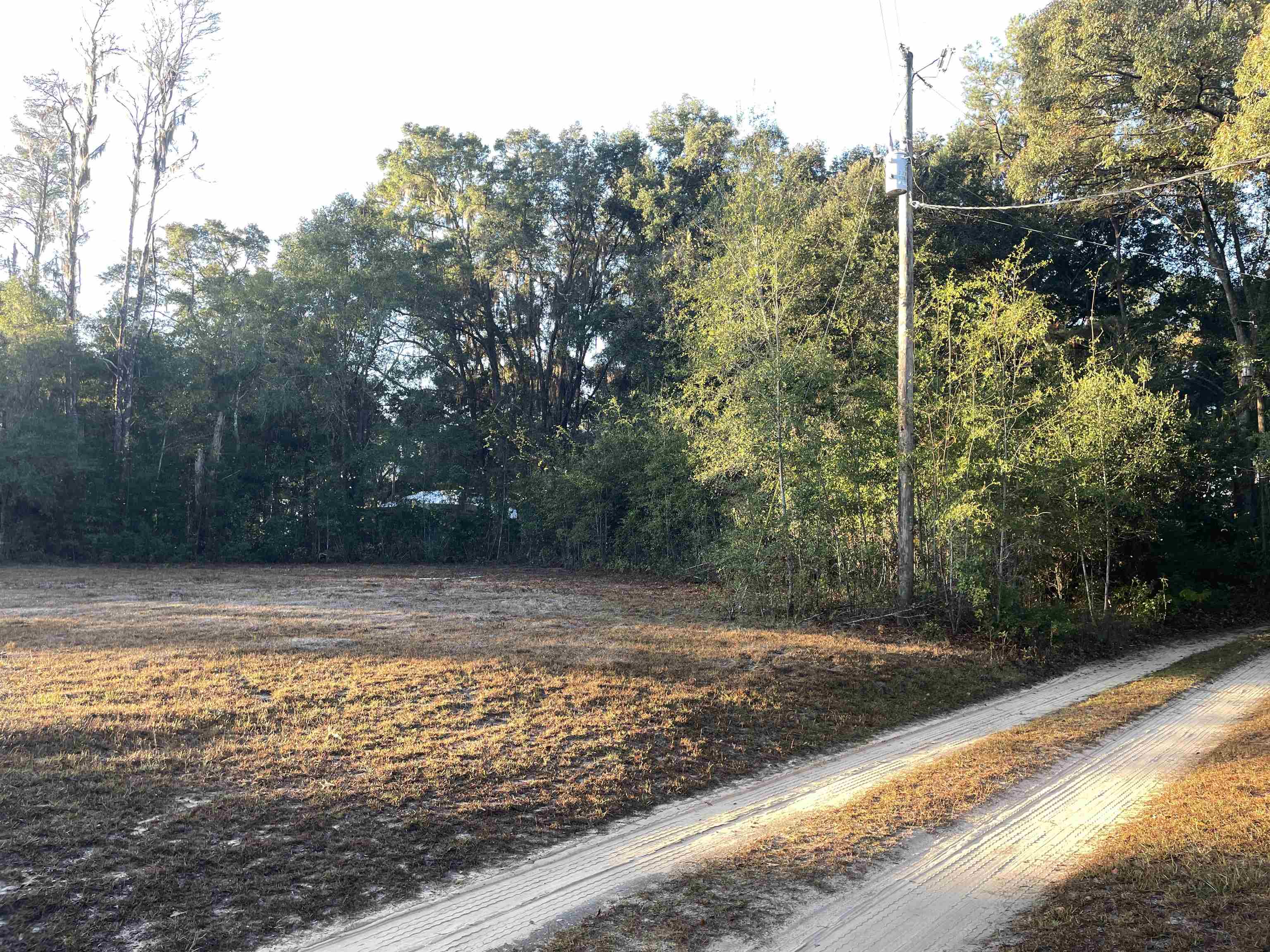 890 Drake Acres Road Quincy, FL 32351 - Photo 3 of 20