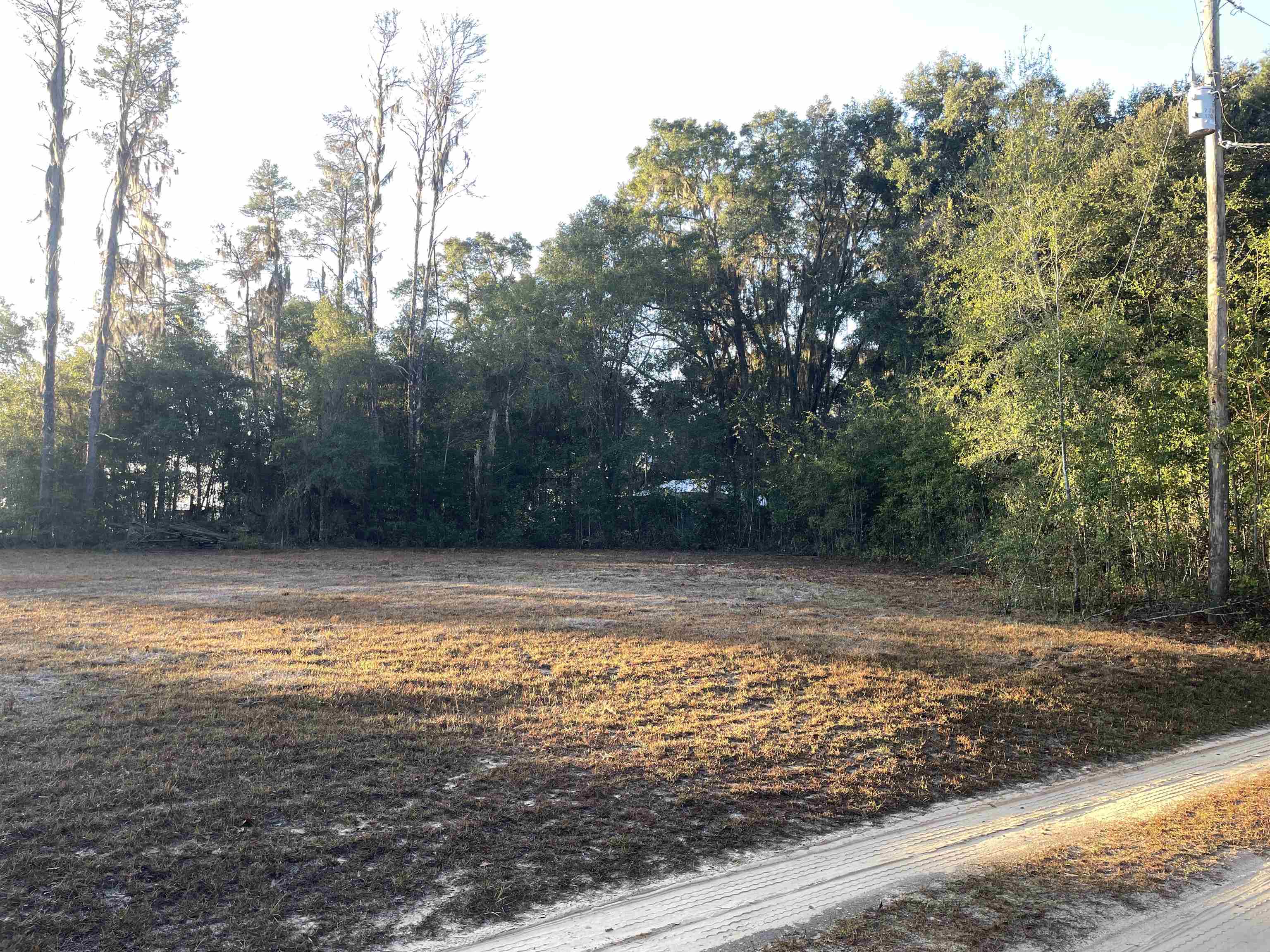 890 Drake Acres Road Quincy, FL 32351 - Photo 4 of 20