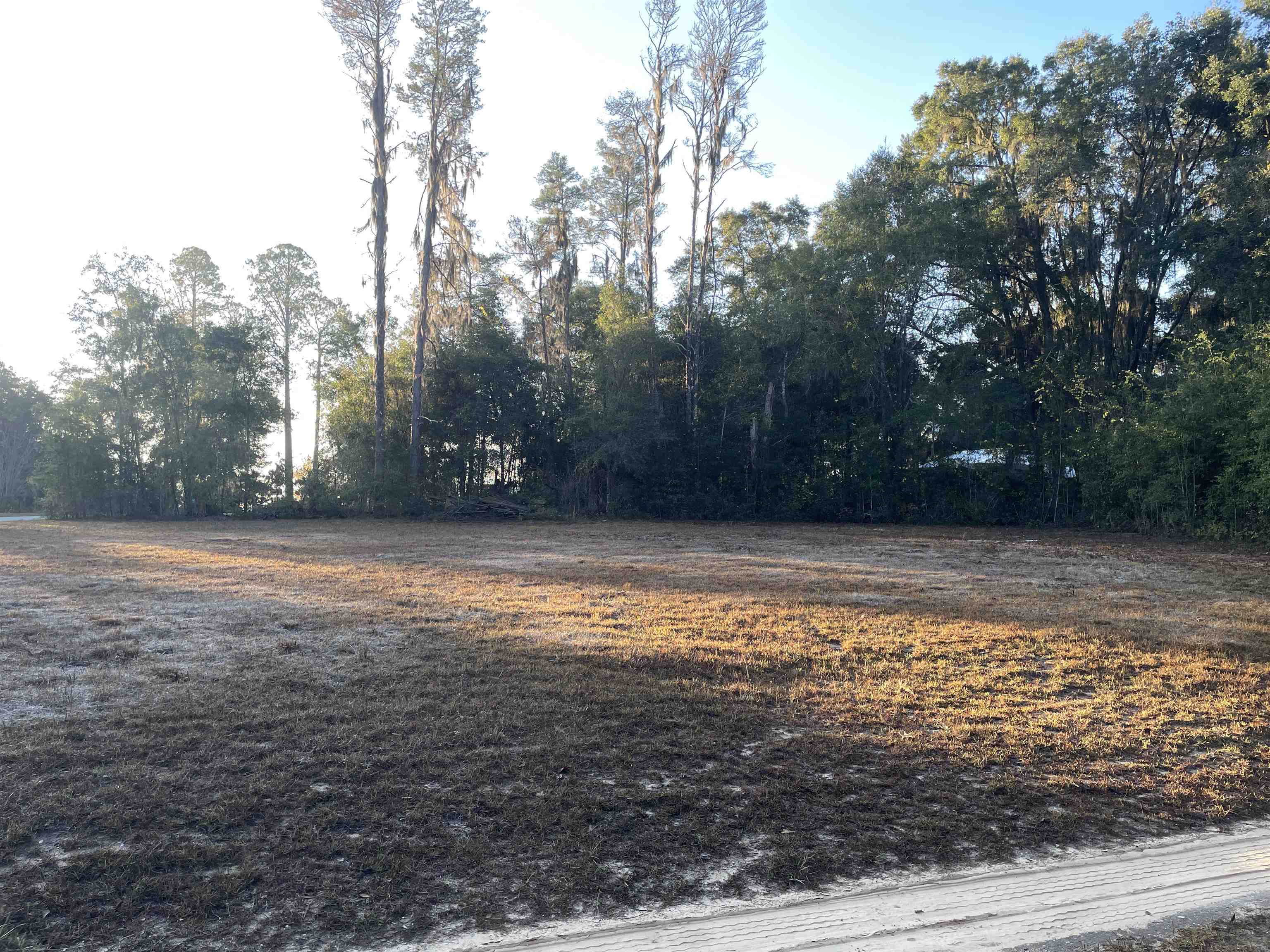 890 Drake Acres Road Quincy, FL 32351 - Photo 5 of 20