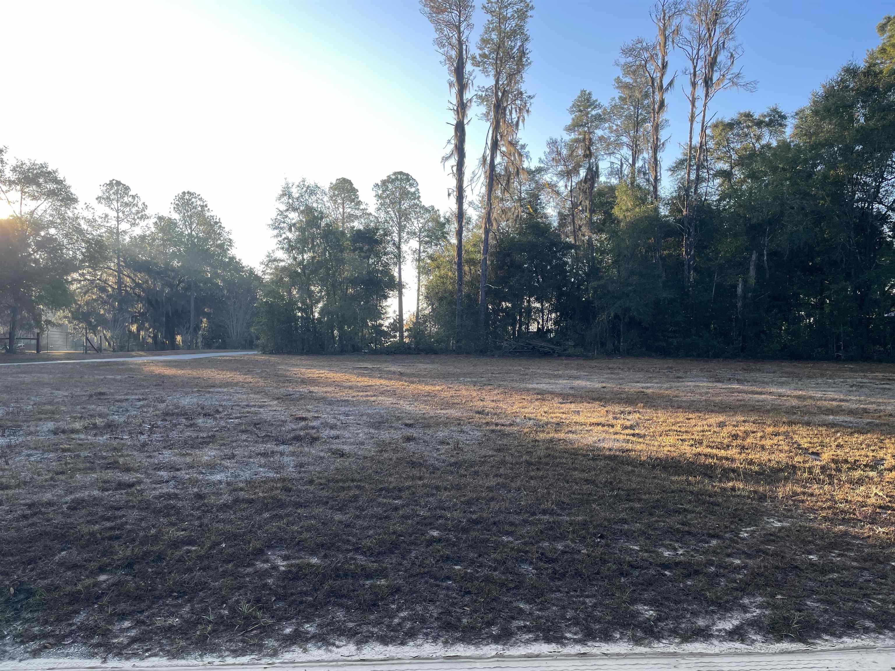 890 Drake Acres Road Quincy, FL 32351 - Photo 6 of 20