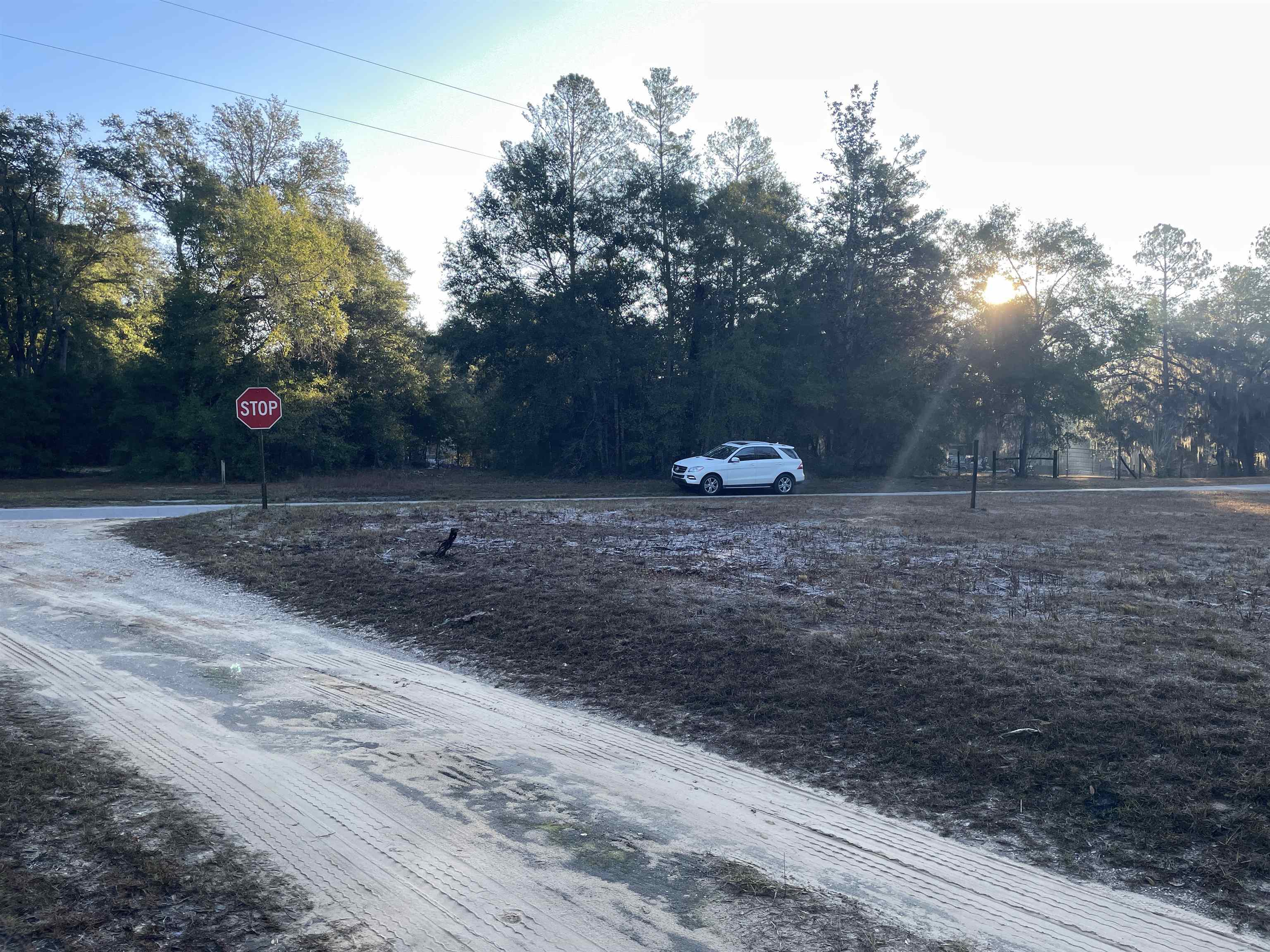 890 Drake Acres Road Quincy, FL 32351 - Photo 9 of 20