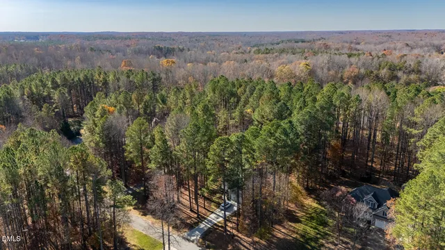 a view of a city with lush green forest