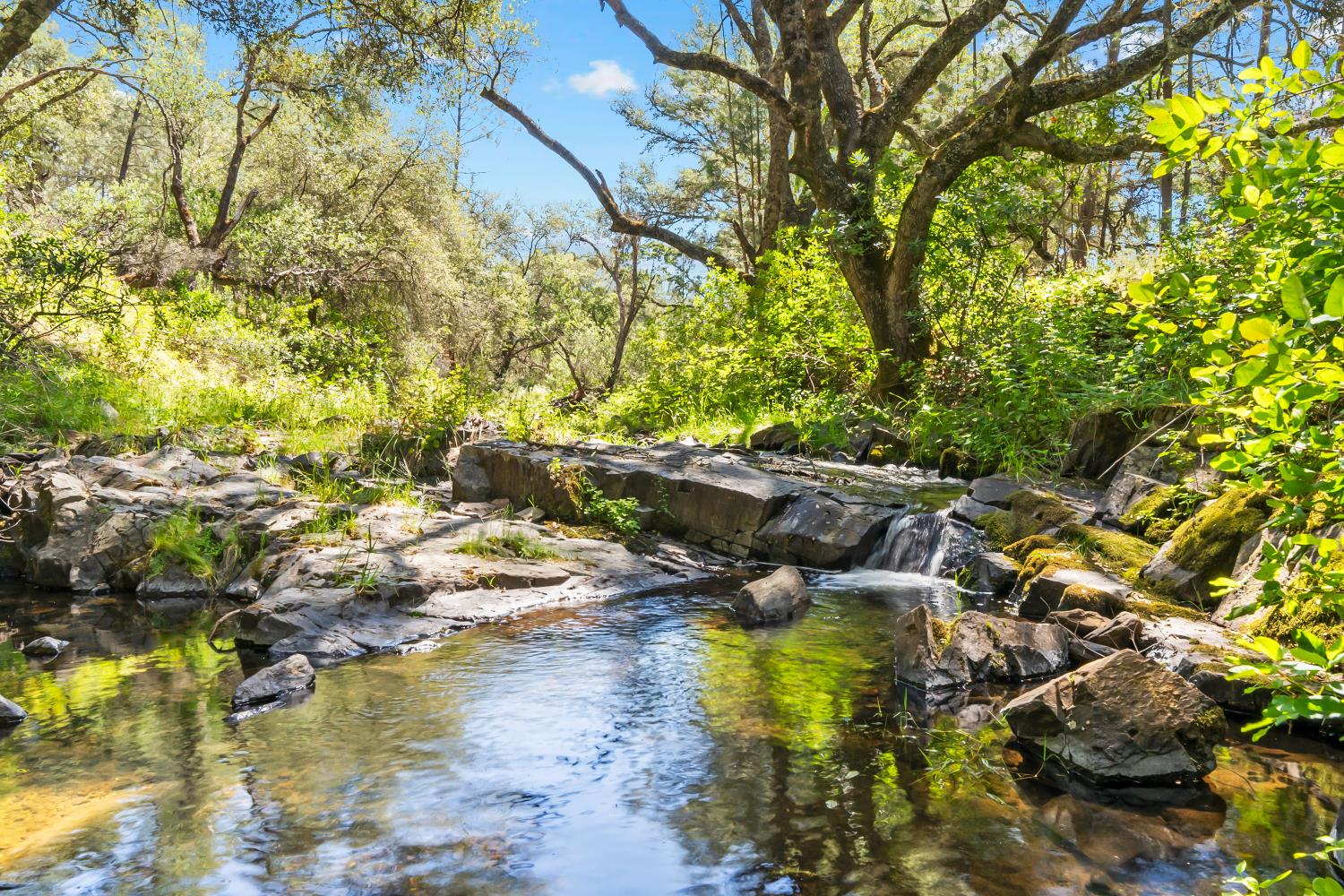 12850 Fiddletown Road Plymouth, CA 95669 - Photo 25 of 88 North Fork Dry Creek