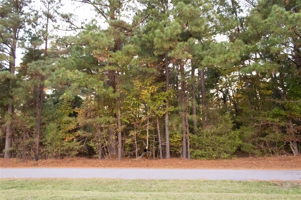 214 County Road 2147 Quitman, TX 75783 - Photo 38 of 38 a view of an outdoor space and yard
